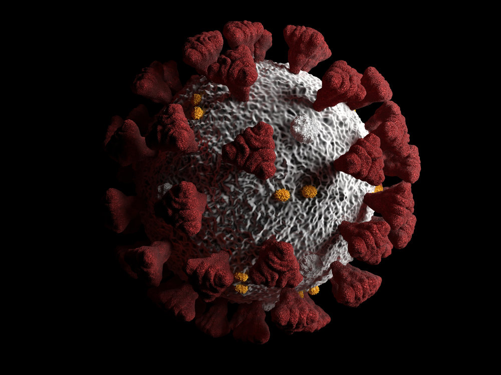 3D модель вируса COVID-19